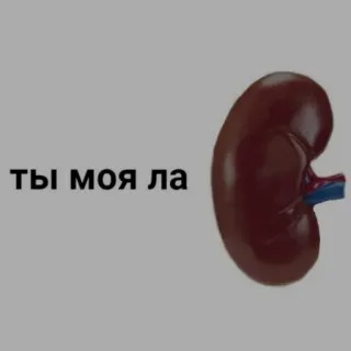 love_picches @world_off_11 telegram stickers