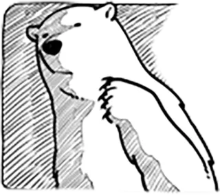 😐 48c3d90f niedźwiedź, niedźwiedź polarny, zwierzę, ssak, dzika przyroda, rysunek, naklejka telegram sticker