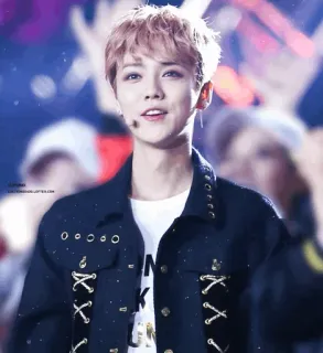 😻 4568983e telegram sticker