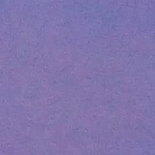 ✨ 0d9f8895 telegram sticker