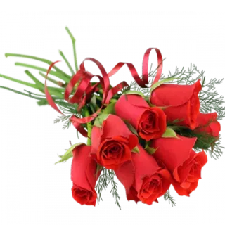 😍 ea9c634d mawar, bunga, buket, merah, romantis, hadiah, perayaan telegram sticker