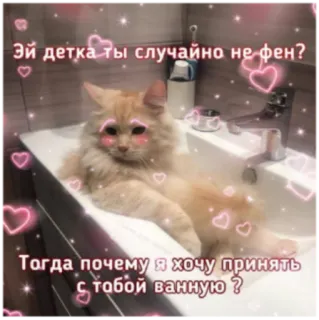 😉 534654c2 Эй детка ты случайно не фен?
Тогда почему я хочу принять
С тобой ванную ? chat, baignoire, texte russe, cœur, mignon, drôle whatsapp sticker