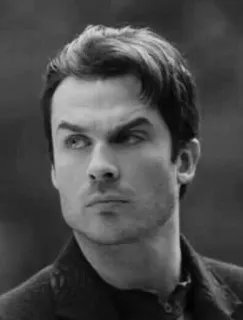 © 86808c3b uomo, ritratto, attore, bianco e nero, viso, primo piano whatsapp sticker