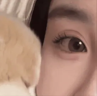 👁 514f331b telegram sticker