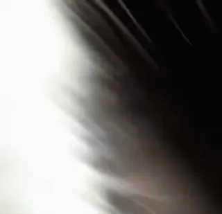 👀 72f0ef8f telegram sticker