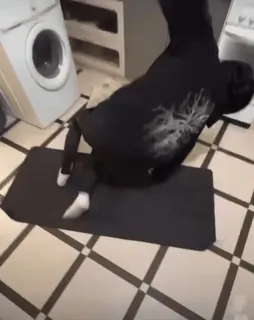 🪆 fa462019 whatsapp sticker