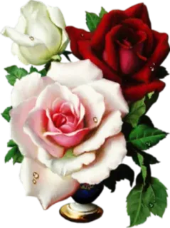 🌸 0fc30321 mawar, bunga, buket, floral, alam, kebun telegram sticker