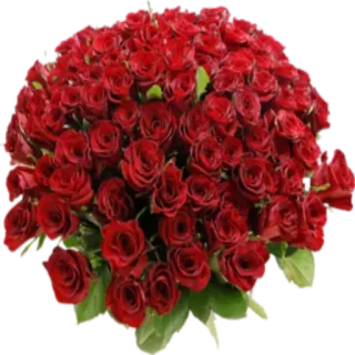 🌸 14e42b65 bunga, mawar, buket, merah, romansa, hadiah telegram sticker