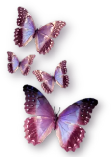 🦋 4005636d kupu-kupu, ungu, merah muda, serangga, alam telegram sticker