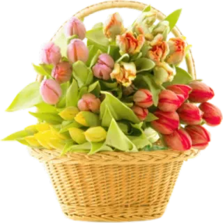 🌸 410cf5d8 bunga, tulip, keranjang, musim semi, berbunga telegram sticker