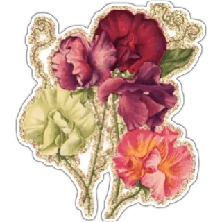 🌹 0a9c42cc flowers, sweet pea, floral, vintage, botanical telegram sticker