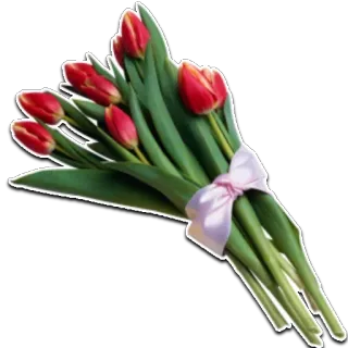 🌸 190ecc24 tulips, flowers, bouquet, spring, red, gift telegram sticker