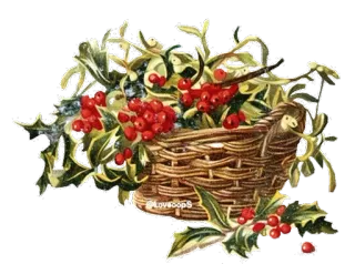 🌹 38b89ff3 mistletoe, berries, basket, christmas, decoration, holidays telegram sticker