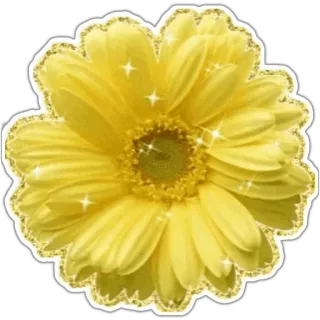 🌹 486bfc4a flower, yellow, daisy, floral, glitter, nature telegram sticker