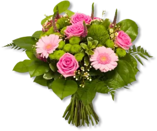 🌹 601179cf bouquet, flowers, roses, gerbera, pink, green, floral arrangement telegram sticker