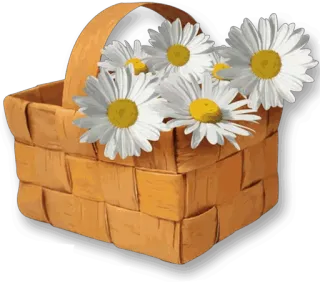 🌹 6e8eb84a basket, flowers, daisies, nature, floral, spring, summer telegram sticker
