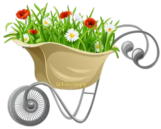 🌹 b0cdab06 flowers, plants, wheelbarrow, garden, daisy, poppy telegram sticker