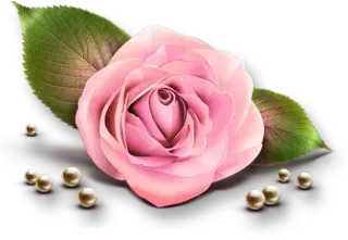 @LoveoopS : Flowers telegram stickers