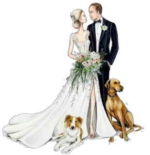 👰 901af4e7 mariage, mariée, marié, chiens, couple, célébration, union whatsapp sticker