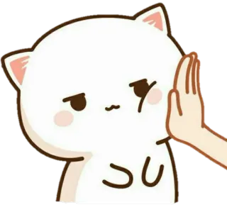 Love🐱❤️ @Total_sigilo telegram stickers