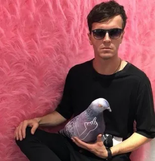 🖕 075945fe dito medio, offensivo, uccello, piccione, gesto telegram sticker