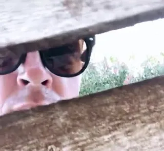 👀 f46bdb9e telegram sticker