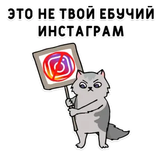 🚫 626079b7 ЭТО НЕ ТВОЙ ЕБУЧИЙ ИНСТАГРАМ Katze, Instagram, Protest, Russisch, Beleidigend telegram sticker