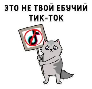 🚫 b1cd00c3 ЭТО НЕ ТВОЙ ЕБУЧИЙ ТИК-ТОК Katze, TikTok, verboten, Protest, russisch telegram sticker
