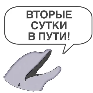 🚃 0f18fca2 ВТОРЫЕ СУТКИ В ПУТИ! delfino, russo, testo, viaggio, giorni, viaggi, animale telegram sticker