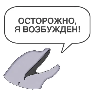 🍆 27790f89 ОСТОРОЖНО, Я ВОЗБУЖДЕН! delfino, fumetto, russo, eccitato, avvertimento telegram sticker