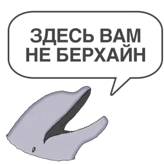 🏢 45a9e9ea ЗДЕСЬ ВАМ НЕ БЕРХАЙН delfino, testo, fumetto, russo, animale telegram sticker