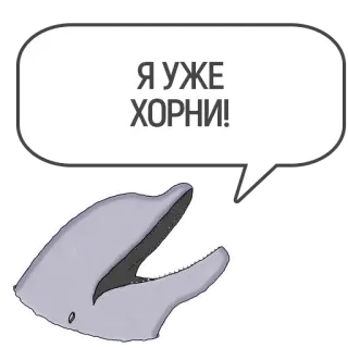 😈 4a668cdd Я УЖЕ ХОРНИ! delfino, animale, fumetto, testo russo telegram sticker