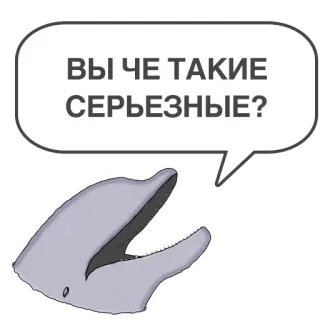 🙄 5293a887 ВЫ ЧЕ ТАКИЕ СЕРЬЕЗНЫЕ? delfino, fumetto, russo, serio, domanda telegram sticker
