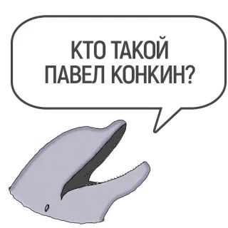 ❓ b6308cbb КТО ТАКОЙ ПАВЕЛ КОНКИН? delfino, lingua russa, domanda, fumetto telegram sticker