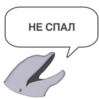 😴 dec5e128 НЕ СПАЛ delfino, fumetto, testo, insonne, animale, russo, grigio telegram sticker