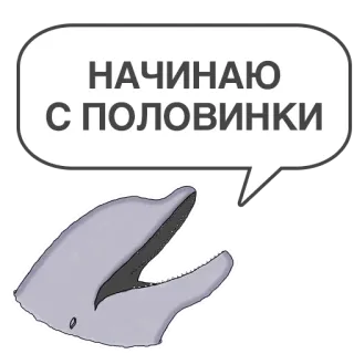 💿 ebed94ca НАЧИНАЮ С ПОЛОВИНКИ delfino, animale, mare, mammifero, fumetto, frase telegram sticker