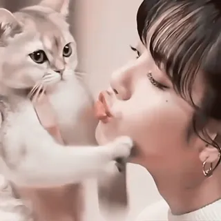 🥩 871413b7 gato, mascota, beso, animal, lindo, cariño whatsapp sticker