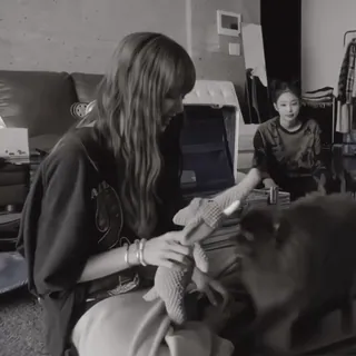 💀 9d7aaf8a telegram sticker