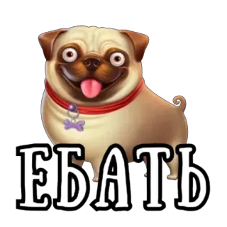 ЛУДОСТИКЕРЫ 1 от @ludohoromy telegram stickers