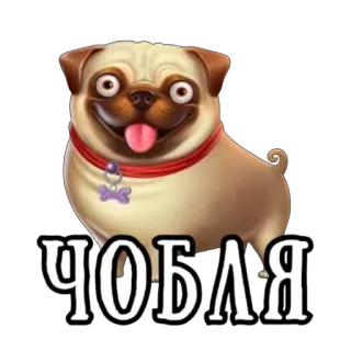ЛУДОСТИКЕРЫ 1 от @ludohoromy telegram stickers