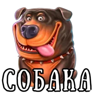 🫥 f9b001b2 СОБАКА cão, animal, animal de estimação, russo telegram sticker