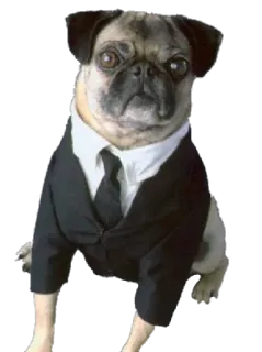 Люди в черном whatsapp stickers