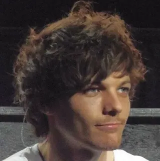 😐 1d108658 Louis Tomlinson Louis Tomlinson, penyanyi, selebriti, One Direction whatsapp sticker