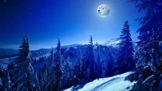 😱 8ffb3bab Doge doge, พระจันทร์, ฤดูหนาว, วิว, ต้นไม้, กลางคืน, หิมะ, มีม telegram sticker