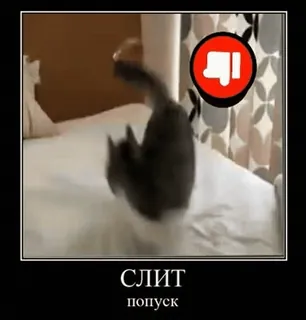 👎 a48179b6 СЛИТ
ПОПУСК 고양이, 싫어요, 밈, 러시아어, 텍스트 telegram sticker