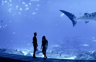 @Luv_vids 9 :: @fStikBot telegram stickers