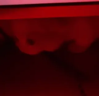 🌟 256c0010 telegram sticker