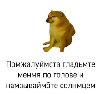 целуou telegram stickers