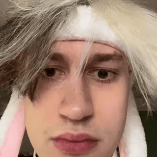 🤨 532c4082 사람, 얼굴, 토끼 귀, 머리 장식 telegram sticker