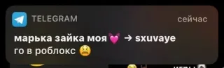 🌟 d5b9023b марька зайка моя -> sxuvaye
го в роблокс telegram, 消息, 社交媒体 telegram sticker